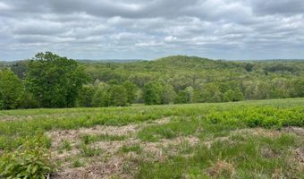 Co Rd 321 Route 5, Ava, MO 65608
