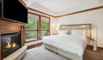415 E Dean St Unit 17 Week 7 St, Aspen, CO 81611