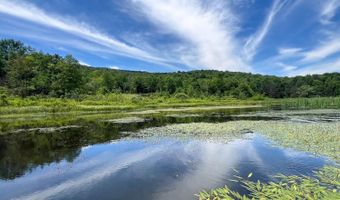 0 Woodland Hills Rd, Andes, NY 13731