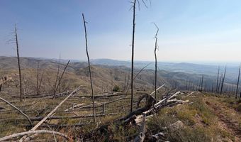 Pine Acres Rd, Bellvue, CO 80512