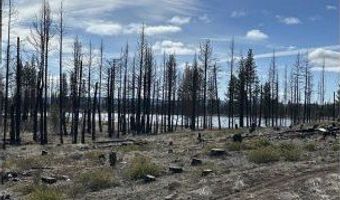 Hicks Rd, Bly, OR 97622