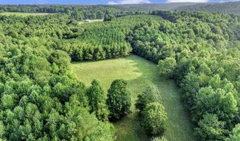 1604 COUNTY ROAD 80, Addison, AL 35540