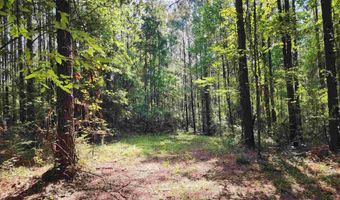 0 Lowery Rd Lot #10, Atmore, AL 36502