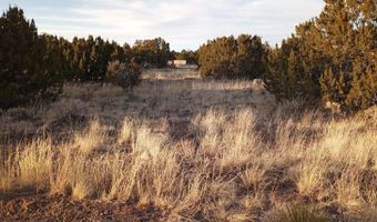 70 County Road 5054, Concho, AZ 85924