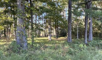 338 Southern Way Lot 61 W/ Boat Slip #3, Arapahoe, NC 28510