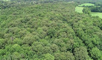 Pine Lodge Road, Batesville, MS 38606