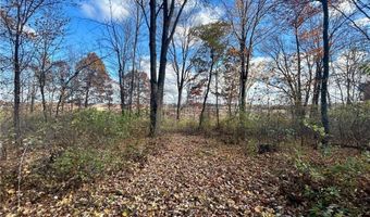 Tbd 125th Street, Alden, WI 54001