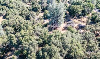 41902 Woodward Way, Ahwahnee, CA 93601