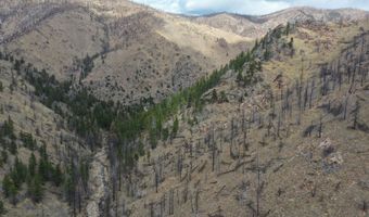 122 Black Hollow Rd, Bellvue, CO 80512