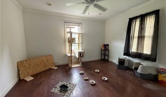 67 Harriet St, Allegany, NY 14706