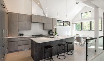 1154 E Cooper Ave B, Aspen, CO 81611