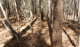 Tbd Oakland Avenue, Asheboro, NC 27205