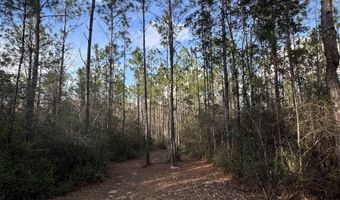 51235 Phillipsville Rd, Bay Minette, AL 36507