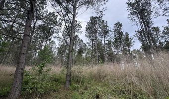 167 E W Morgan, Arcadia, LA 71001
