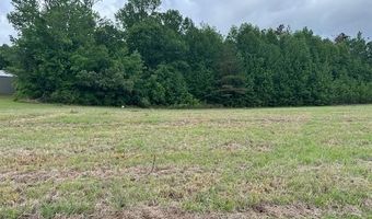 PEAR BLOSSOM Ln, Adamsville, TN 38310