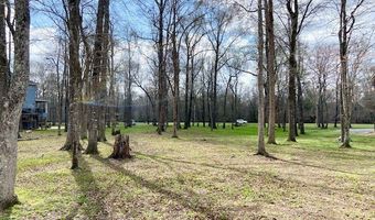 Cypress Point Dr, Akron, AL 35441