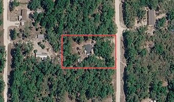 5829 NW 11th Ave, Bell, FL 32619