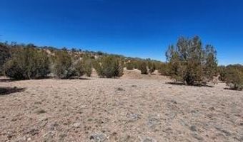 302-17 306 Haywire Rd, Ash Fork, AZ 86320