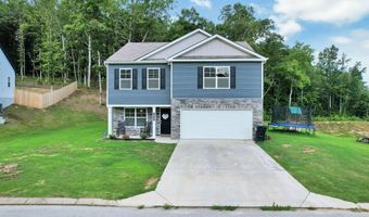12263 Bull Run, Birchwood, TN 37308