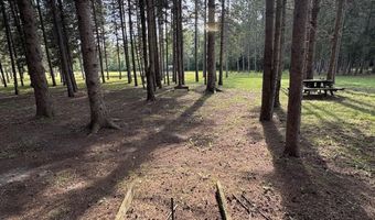 2220 M-30, Alger, MI 48610