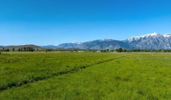 Pinenut Road, Gardnerville, NV 89410