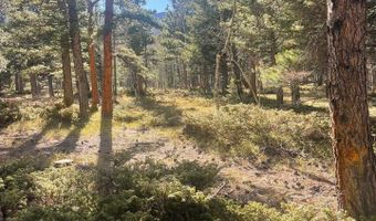 399 N Skinner Rd, Allenspark, CO 80510