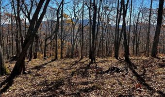 Chappell Farm Road lot 2, Banner Elk, NC 28604