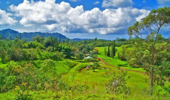 6630 KIPAPA Rd, Kapaa, HI 96746