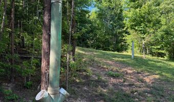 355 Lone Mountain Rd, Andersonville, TN 37705