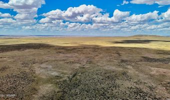 Tbd COUNTY ROAD N7012 40 ACRES, Chambers, AZ 86502