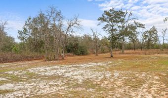 21835 NW Lake Mckenzie Blvd, Altha, FL 32421