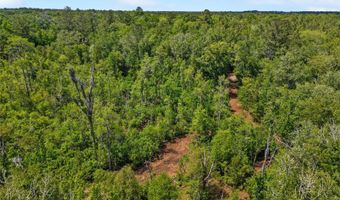 4814 NW 244 Ave, Alachua, FL 32615