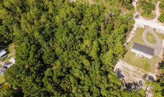 Tbd NW 16TH AVENUE, Bell, FL 32619