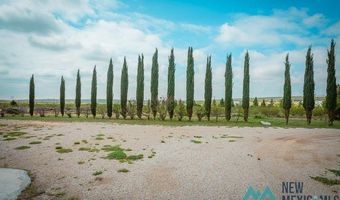 14 Nichol St, Carlsbad, NM 88220