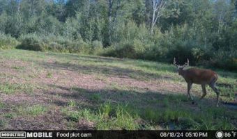 0000 CTH H, Antigo, WI 54409