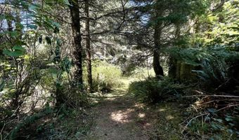 95629 CAPE FERRELO Rd, Brookings, OR 97415