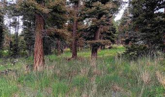 Lot 1220 Rainbow Overlook, Angel Fire, NM 87710