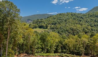 Lot 20 Clear Fork Creek Road, Bastian, VA 24314