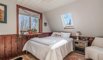 495 EDGEWOOD Rd, Alma, CO 80420