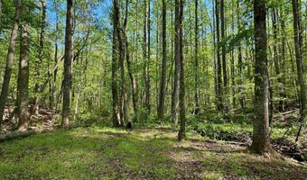 130 KELLY Rd, Ashland, AL 36251
