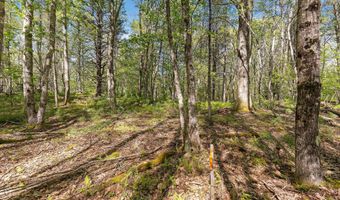 17-1 Bald Head Rd, Arrowsic, ME 04548