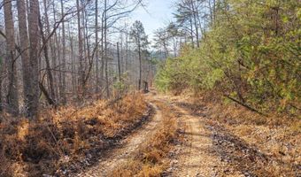 Marshall Drive, Beattyville, KY 41311