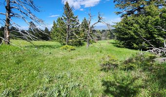 Blacktooth Road lot 12, Big Horn, WY 82833