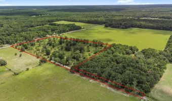 TBD 10th St, Bell, FL 32619