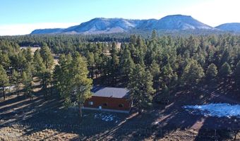 3 County Road N2261, Alpine, AZ 85920