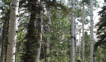 El Camino Real, Angel Fire, NM 87710