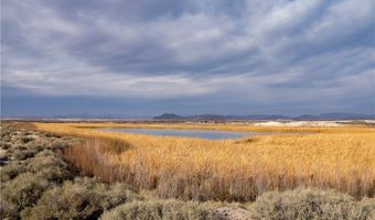 5770 S Peterson Rd, Amargosa Valley, NV 89020
