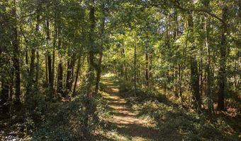 State Rd 121, Alachua, FL 32615