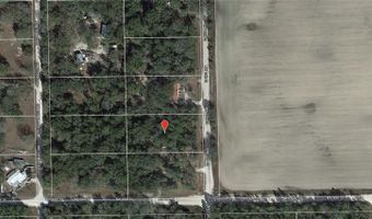NW 12TH COURT, Bell, FL 32619