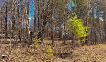TM 407 L 35 Shem Valley Road, Alexandria, NH 03222